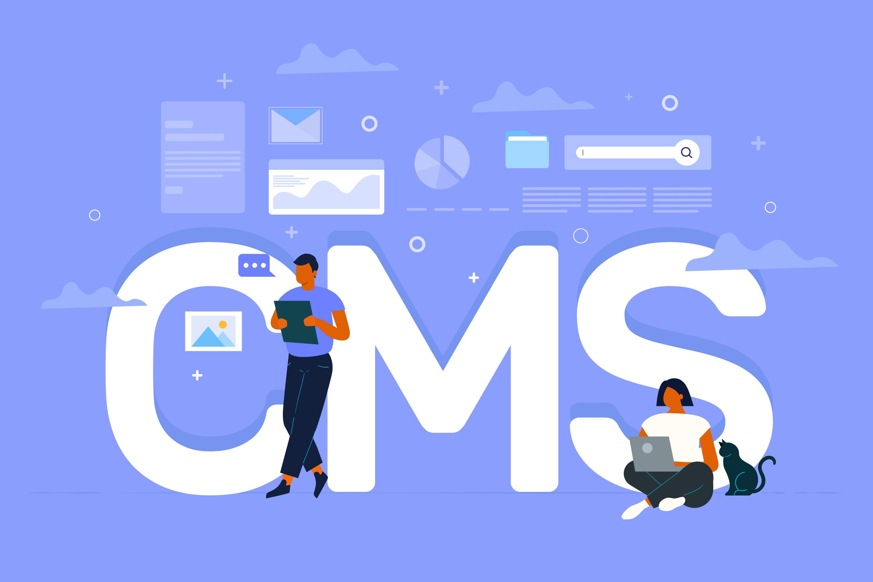 CMS Development