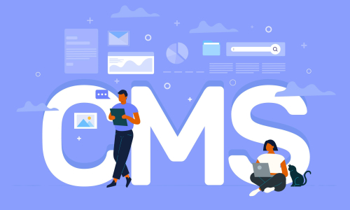 CMS Development